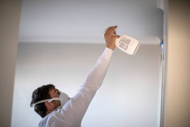 Best Toxic Mold Removal  in Rimersburg, PA